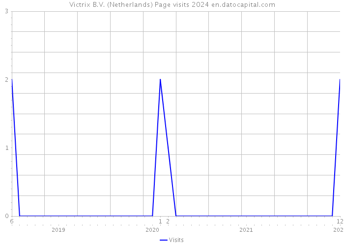 Victrix B.V. (Netherlands) Page visits 2024 