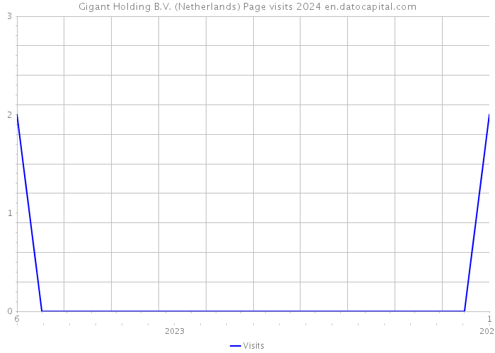 Gigant Holding B.V. (Netherlands) Page visits 2024 