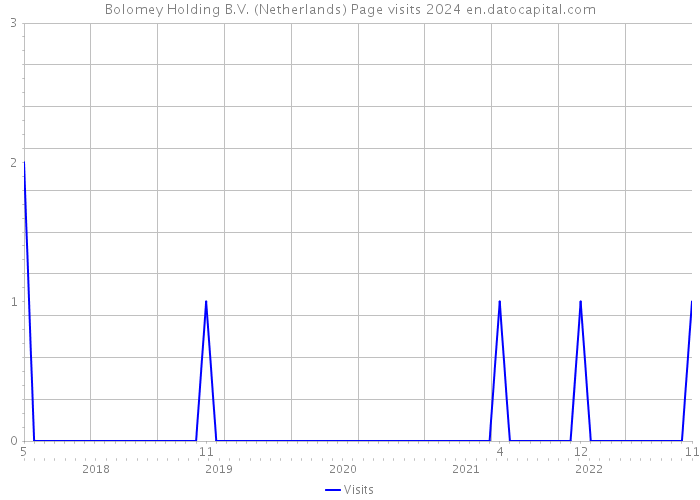 Bolomey Holding B.V. (Netherlands) Page visits 2024 
