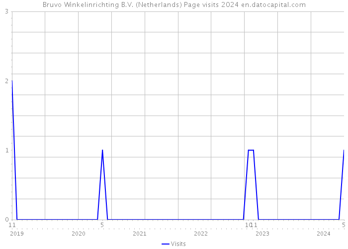 Bruvo Winkelinrichting B.V. (Netherlands) Page visits 2024 
