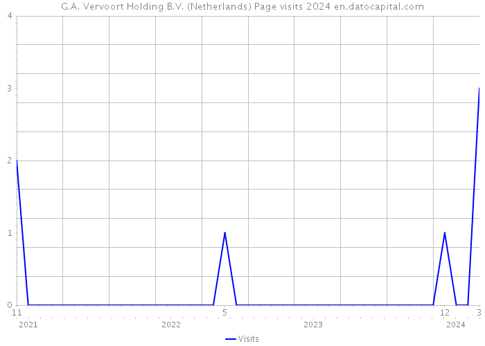 G.A. Vervoort Holding B.V. (Netherlands) Page visits 2024 