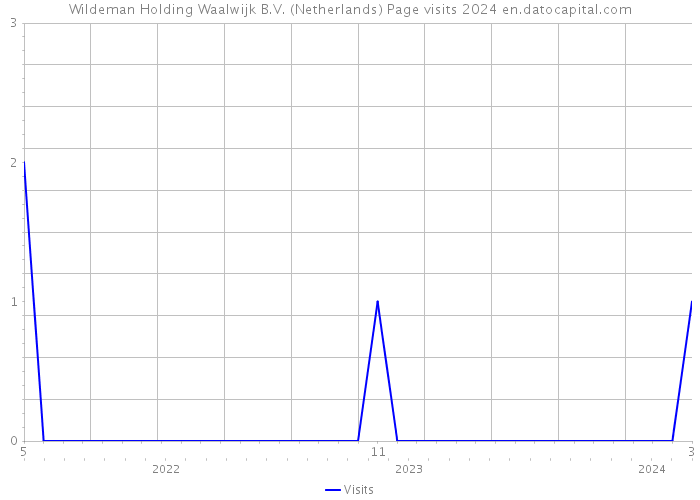 Wildeman Holding Waalwijk B.V. (Netherlands) Page visits 2024 