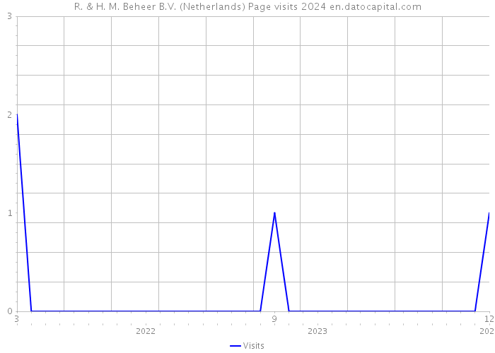 R. & H. M. Beheer B.V. (Netherlands) Page visits 2024 