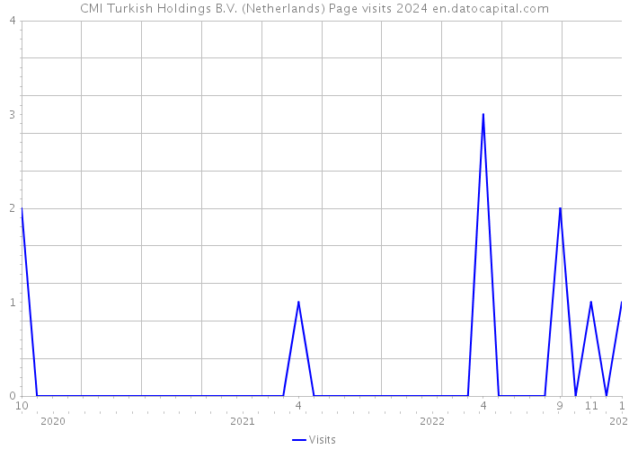 CMI Turkish Holdings B.V. (Netherlands) Page visits 2024 