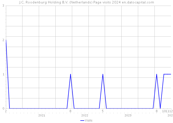 J.C. Roodenburg Holding B.V. (Netherlands) Page visits 2024 