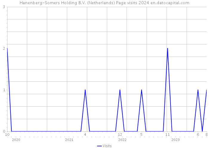 Hanenberg-Somers Holding B.V. (Netherlands) Page visits 2024 