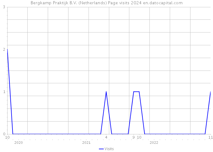 Bergkamp Praktijk B.V. (Netherlands) Page visits 2024 