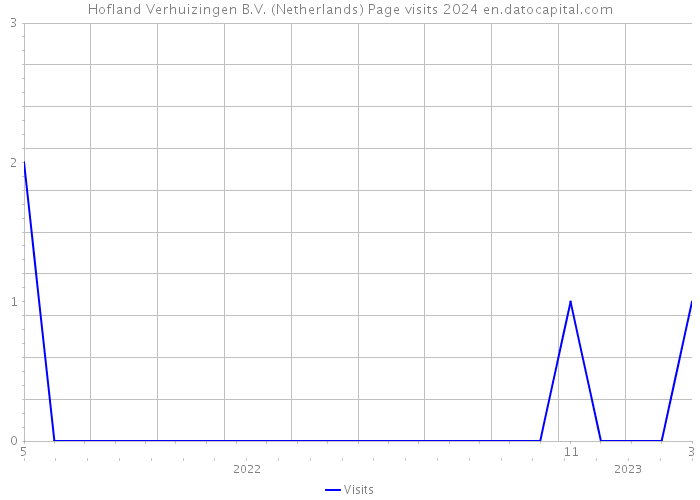 Hofland Verhuizingen B.V. (Netherlands) Page visits 2024 