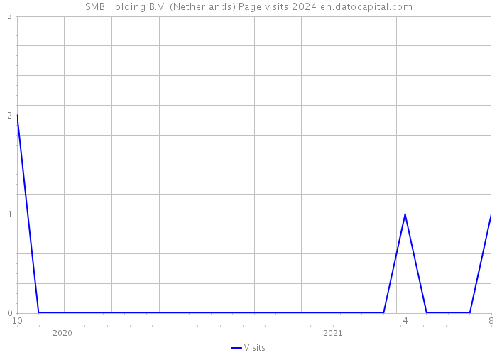 SMB Holding B.V. (Netherlands) Page visits 2024 