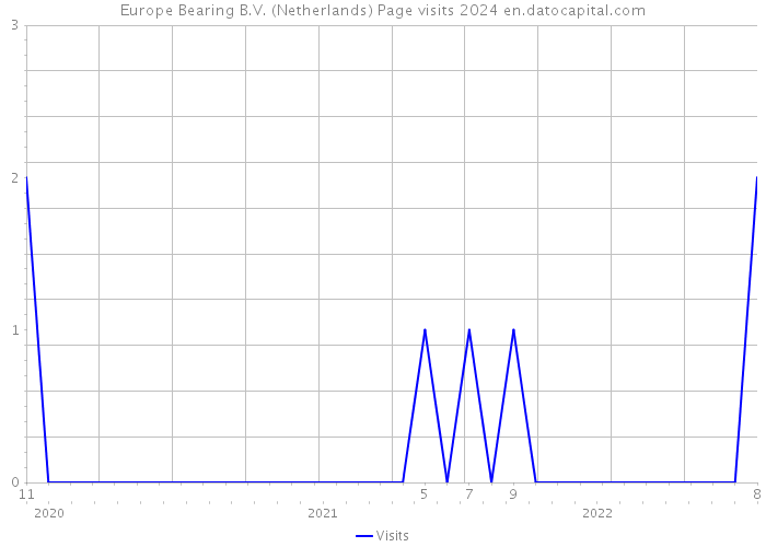 Europe Bearing B.V. (Netherlands) Page visits 2024 