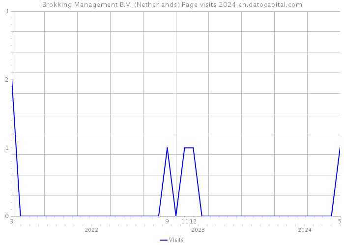 Brokking Management B.V. (Netherlands) Page visits 2024 