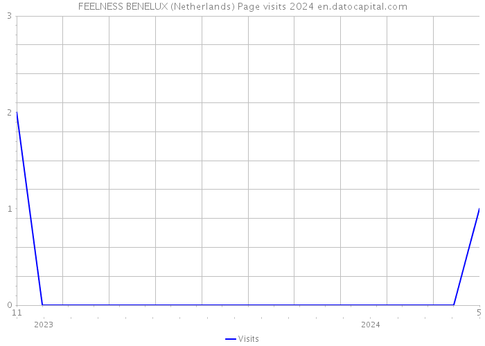 FEELNESS BENELUX (Netherlands) Page visits 2024 