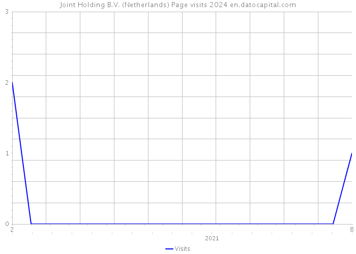 Joint Holding B.V. (Netherlands) Page visits 2024 