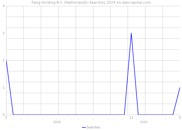 Fang Holding B.V. (Netherlands) Searches 2024 