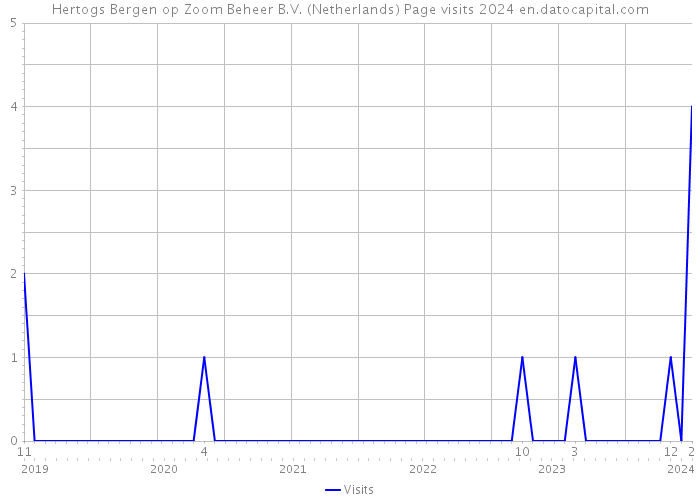Hertogs Bergen op Zoom Beheer B.V. (Netherlands) Page visits 2024 