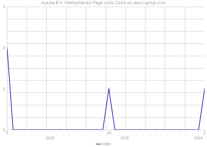 Ayesta B.V. (Netherlands) Page visits 2024 