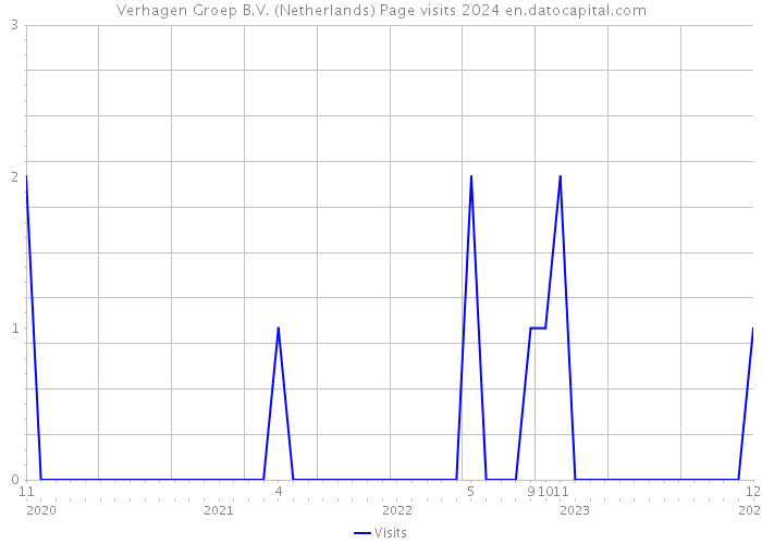 Verhagen Groep B.V. (Netherlands) Page visits 2024 
