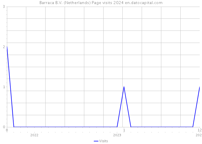 Barraca B.V. (Netherlands) Page visits 2024 