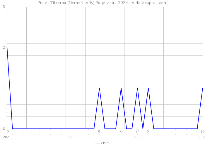 Pieter Tilkema (Netherlands) Page visits 2024 
