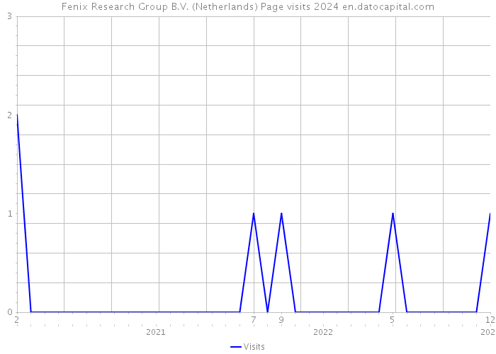 Fenix Research Group B.V. (Netherlands) Page visits 2024 