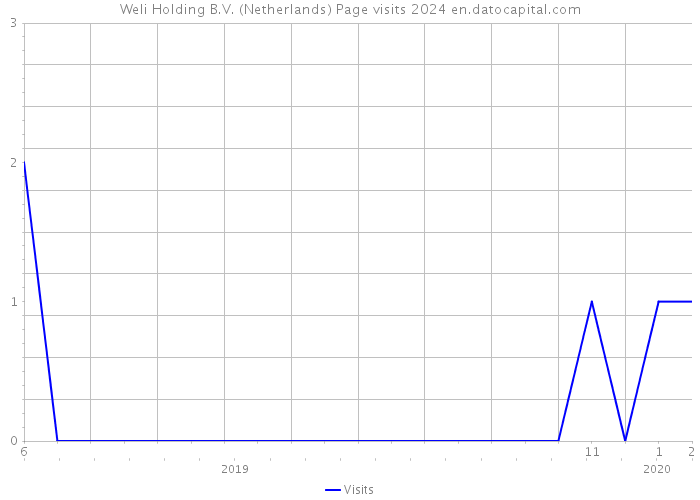 Weli Holding B.V. (Netherlands) Page visits 2024 
