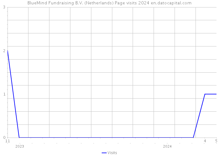 BlueMind Fundraising B.V. (Netherlands) Page visits 2024 