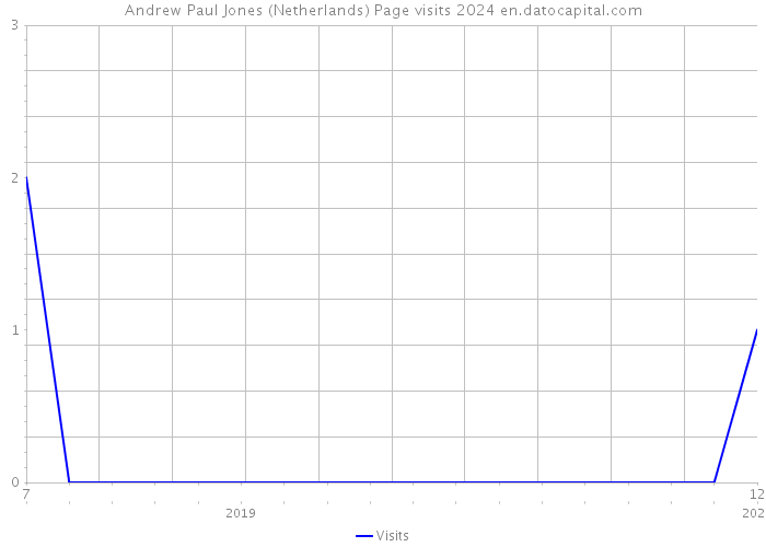 Andrew Paul Jones (Netherlands) Page visits 2024 