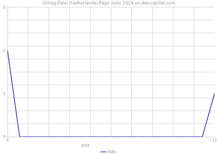 Chirag Patel (Netherlands) Page visits 2024 