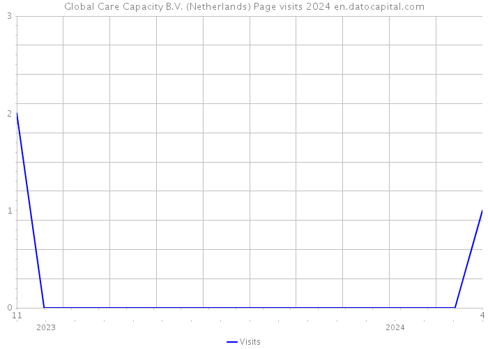 Global Care Capacity B.V. (Netherlands) Page visits 2024 