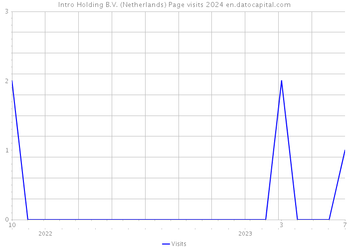 Intro Holding B.V. (Netherlands) Page visits 2024 