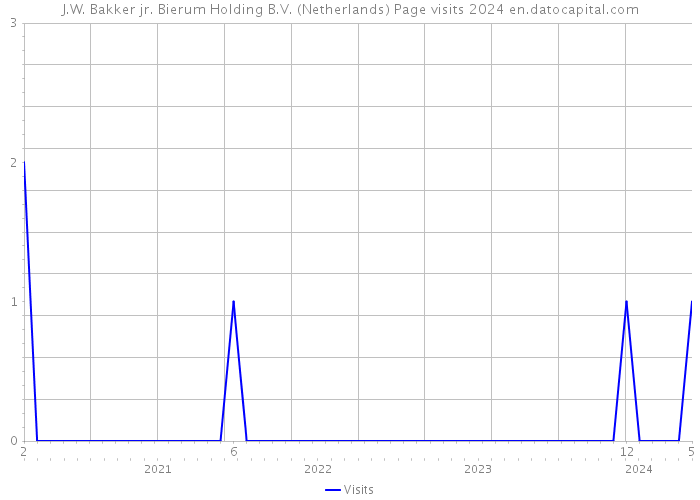 J.W. Bakker jr. Bierum Holding B.V. (Netherlands) Page visits 2024 