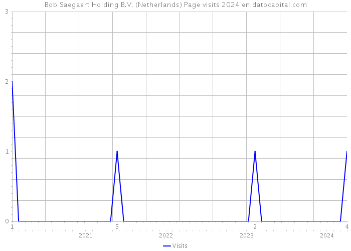 Bob Saegaert Holding B.V. (Netherlands) Page visits 2024 
