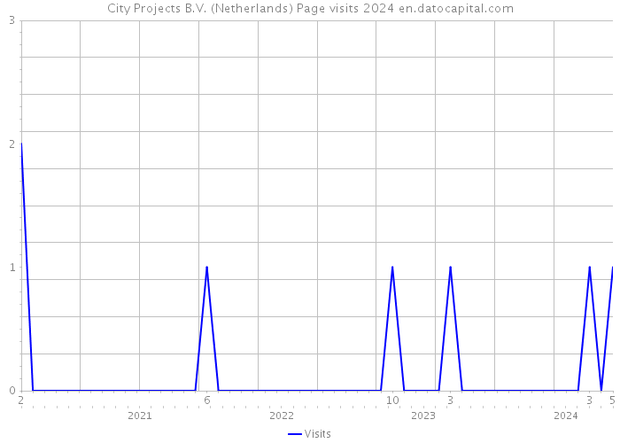City Projects B.V. (Netherlands) Page visits 2024 