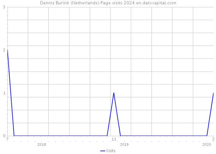 Dennis Burink (Netherlands) Page visits 2024 