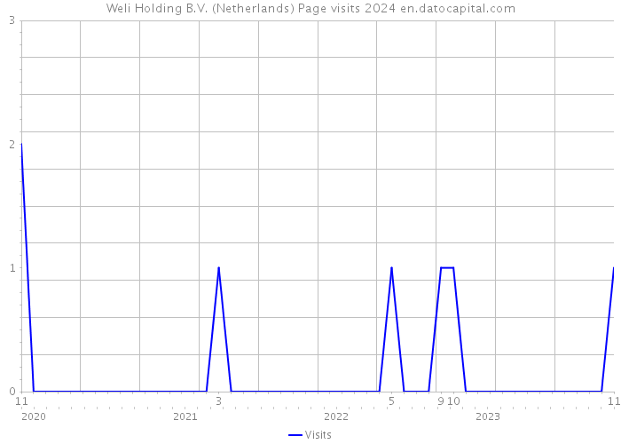 Weli Holding B.V. (Netherlands) Page visits 2024 