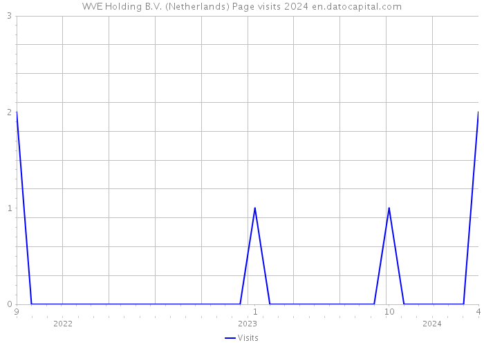 WVE Holding B.V. (Netherlands) Page visits 2024 