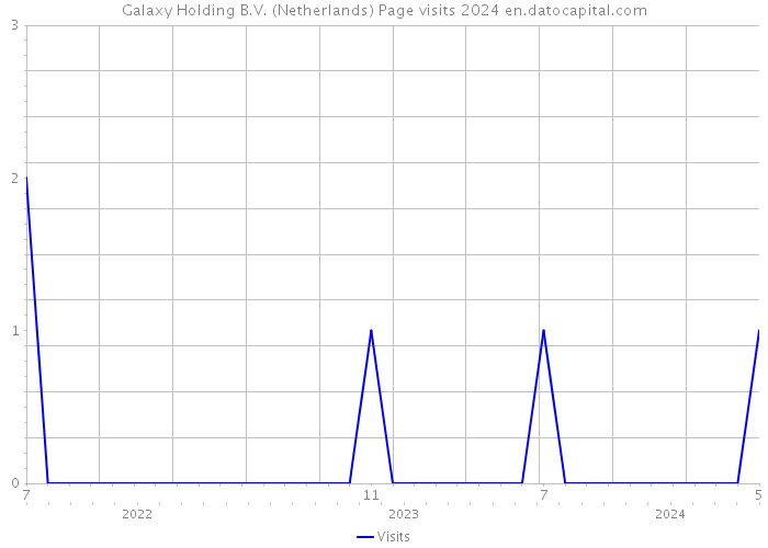 Galaxy Holding B.V. (Netherlands) Page visits 2024 