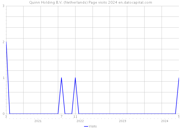 Quinn Holding B.V. (Netherlands) Page visits 2024 