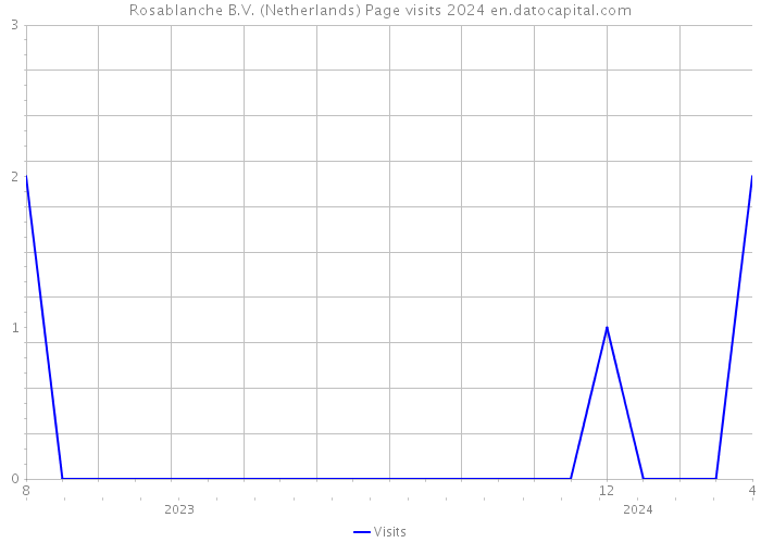 Rosablanche B.V. (Netherlands) Page visits 2024 