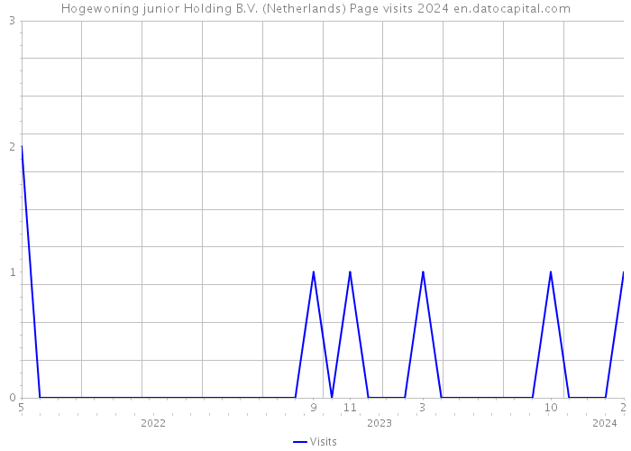 Hogewoning junior Holding B.V. (Netherlands) Page visits 2024 