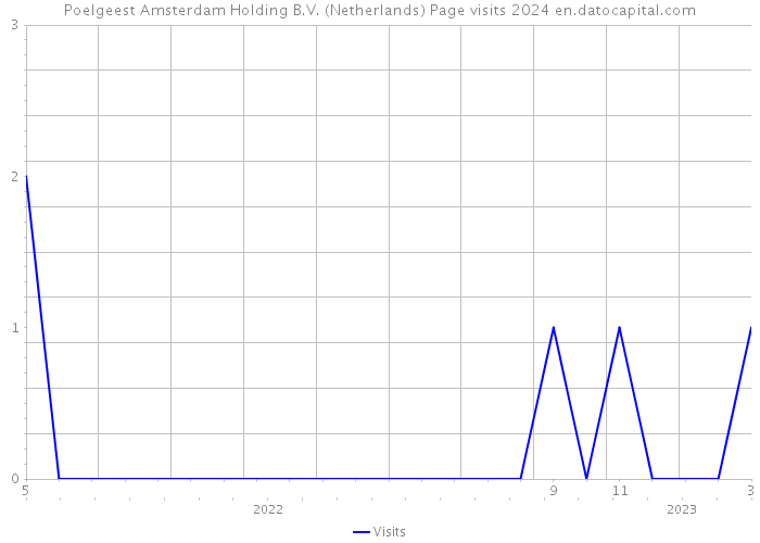 Poelgeest Amsterdam Holding B.V. (Netherlands) Page visits 2024 