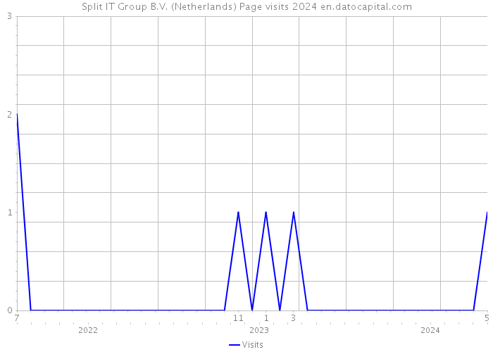 Split IT Group B.V. (Netherlands) Page visits 2024 