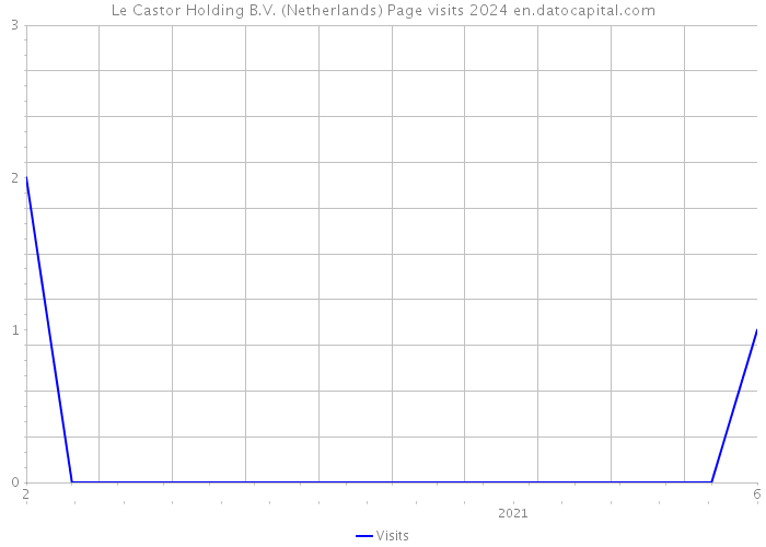 Le Castor Holding B.V. (Netherlands) Page visits 2024 