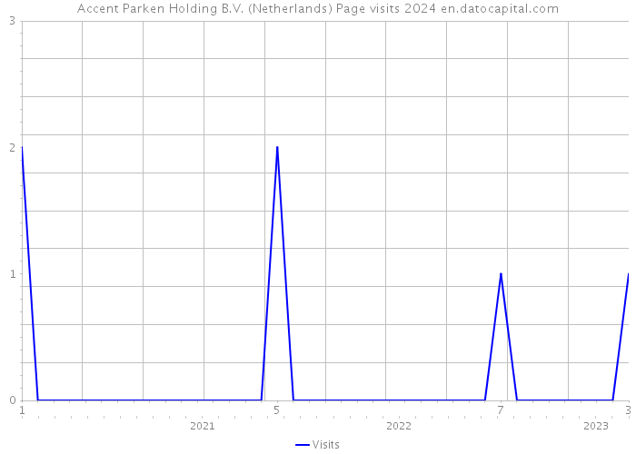 Accent Parken Holding B.V. (Netherlands) Page visits 2024 