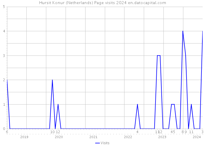 Hursit Konur (Netherlands) Page visits 2024 