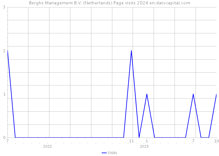 Berghs Management B.V. (Netherlands) Page visits 2024 