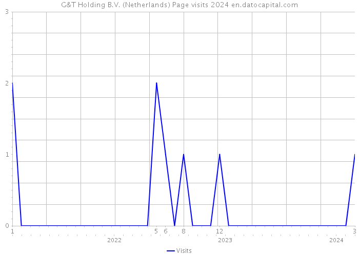G&T Holding B.V. (Netherlands) Page visits 2024 