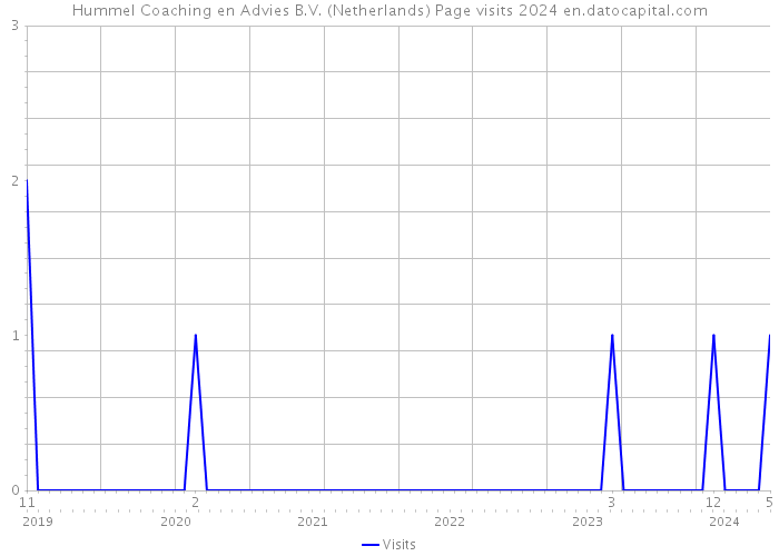 Hummel Coaching en Advies B.V. (Netherlands) Page visits 2024 