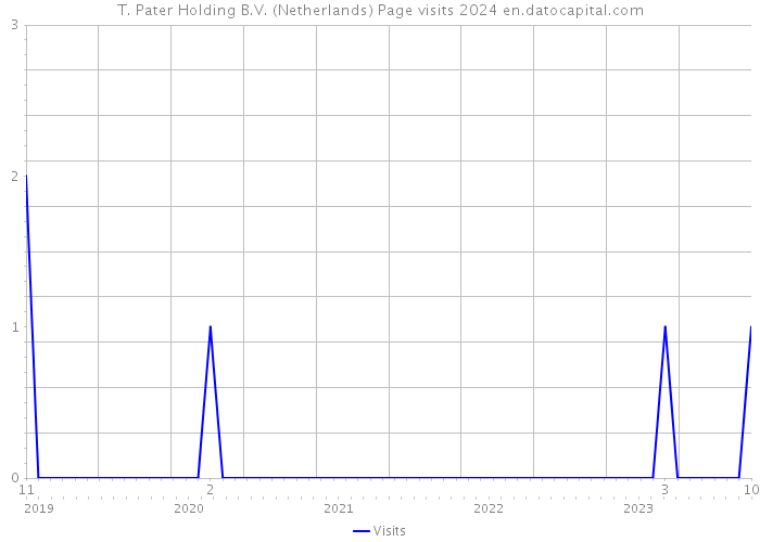 T. Pater Holding B.V. (Netherlands) Page visits 2024 
