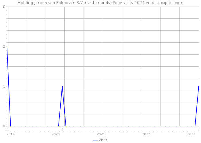 Holding Jeroen van Bokhoven B.V. (Netherlands) Page visits 2024 